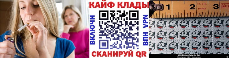 Где купить Гаджиево ГАШ  Alpha-PVP  Псилоцибиновые грибы  НБОМе  МЕФ  Кокаин 