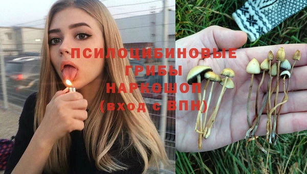 jwh Верхний Тагил