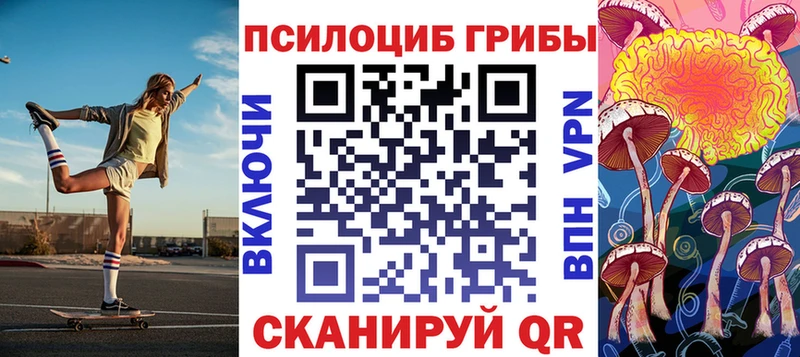 MEGA ссылка  Гаджиево  Псилоцибиновые грибы GOLDEN TEACHER  наркота 