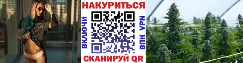 Бошки Шишки VHQ где купить наркоту Гаджиево